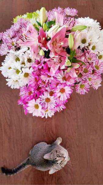 Elegant floral aisle