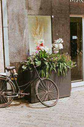 Boho theme